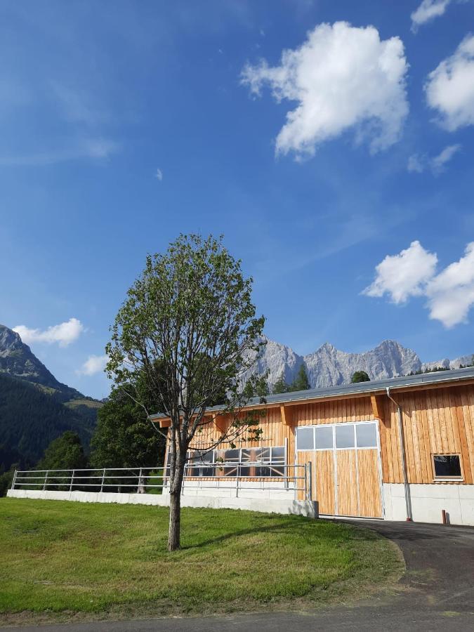 Appartement Mühlebnerhof Ramsau am Dachstein Exterior foto