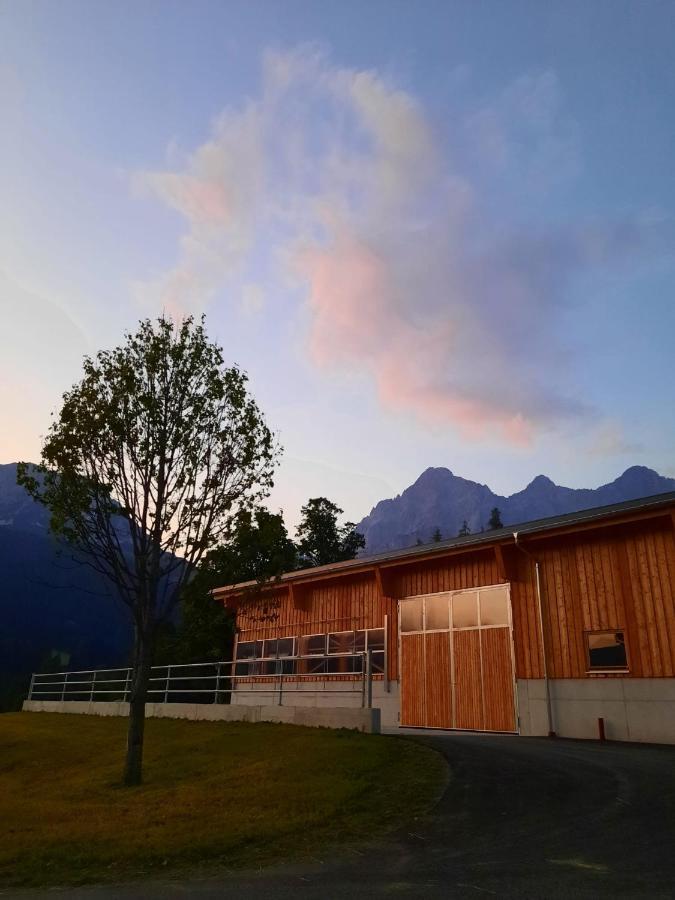 Appartement Mühlebnerhof Ramsau am Dachstein Exterior foto