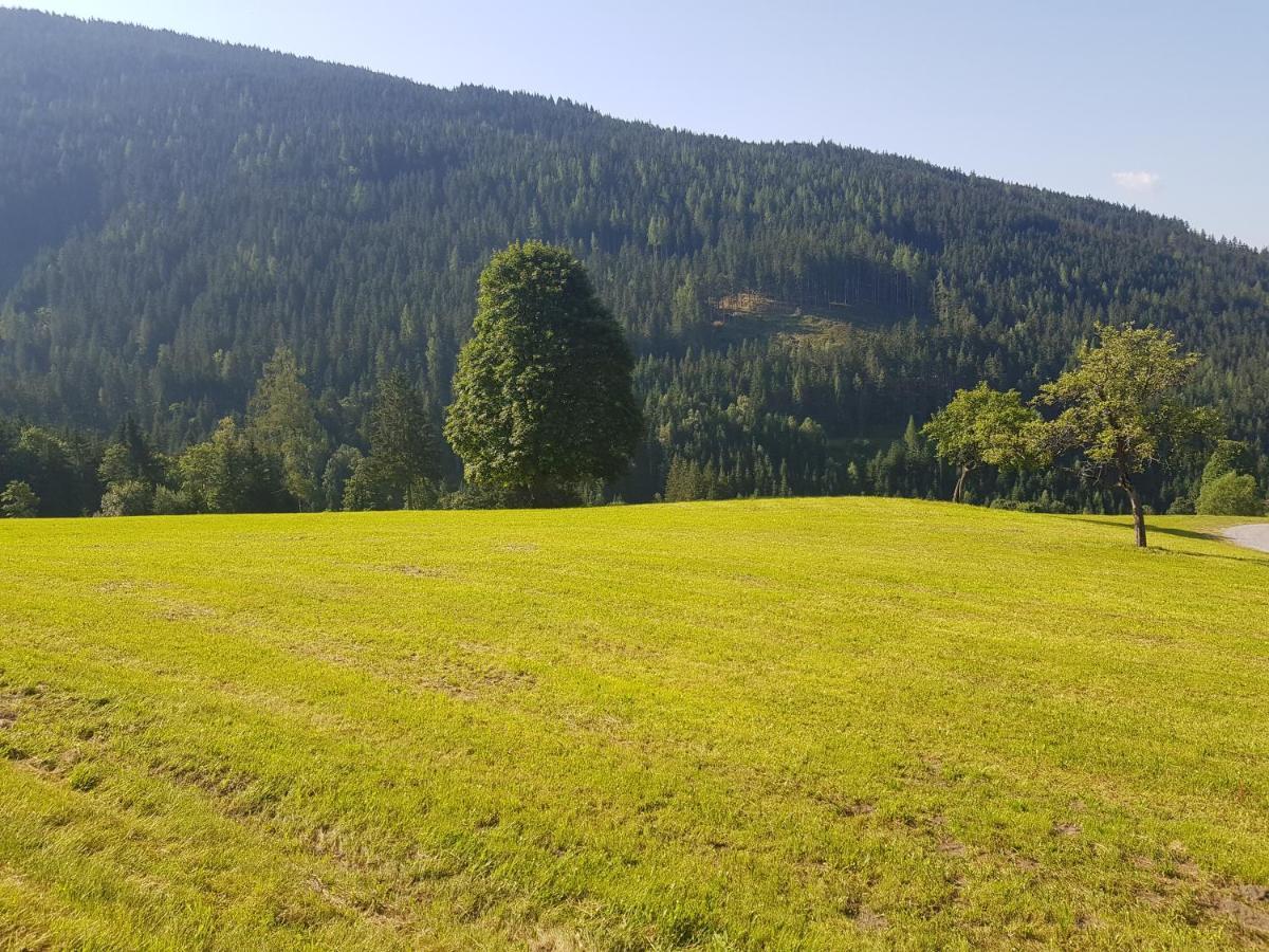 Appartement Mühlebnerhof Ramsau am Dachstein Exterior foto