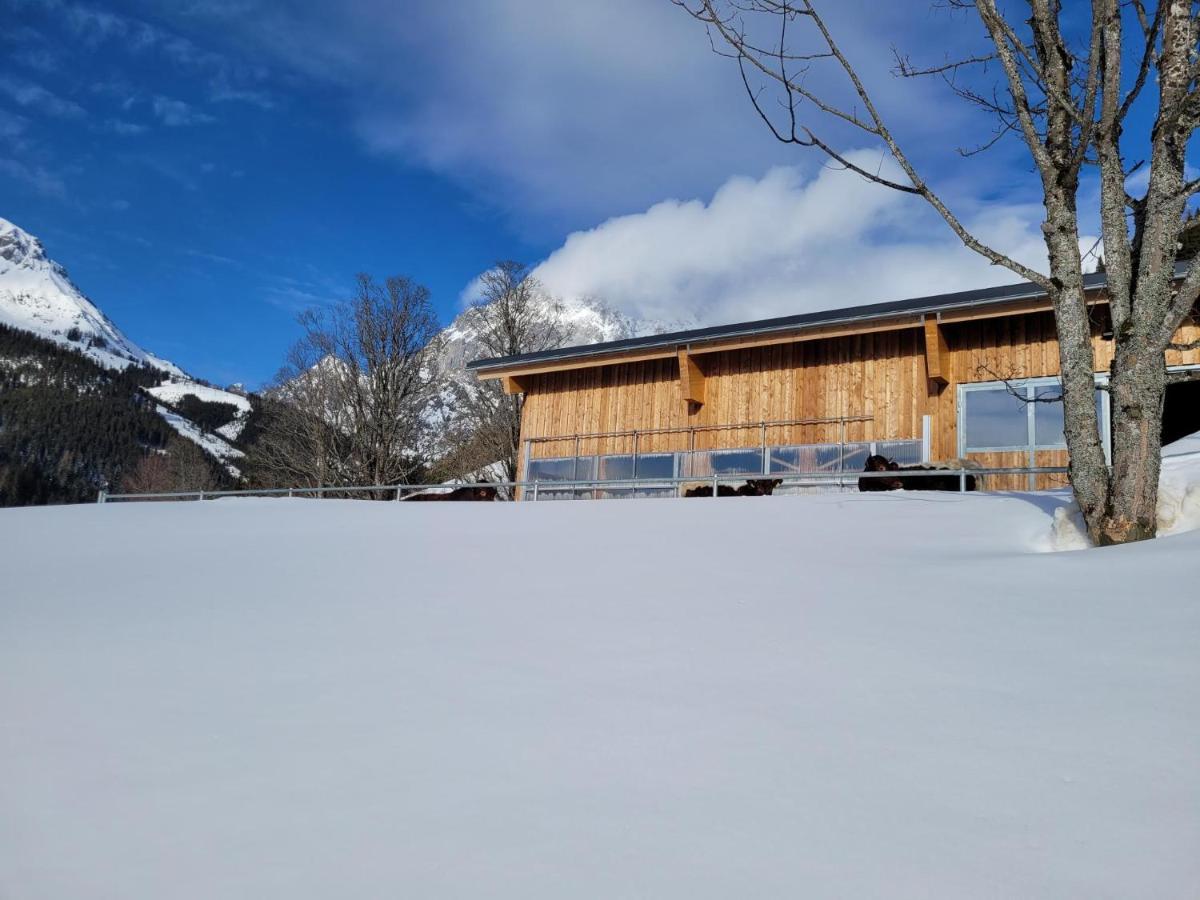 Appartement Mühlebnerhof Ramsau am Dachstein Exterior foto